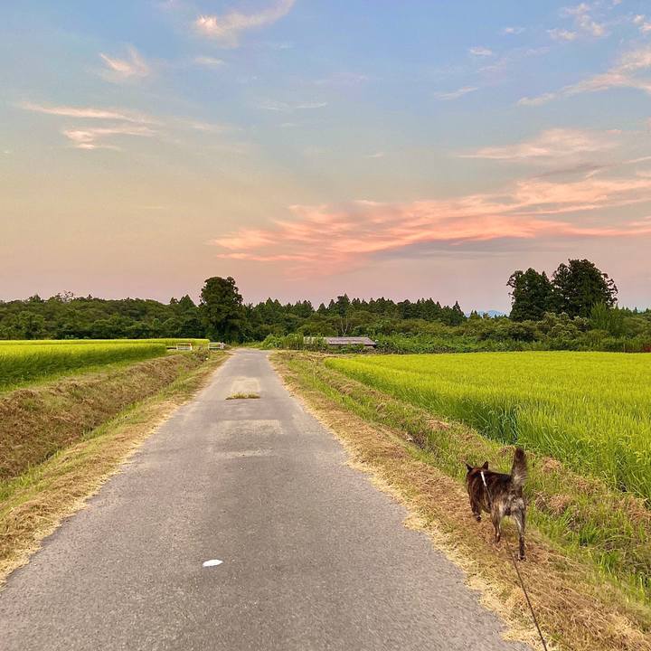 669a30bc 8f4e 4649 b9b0 39f909c4ccfc 1598530103850