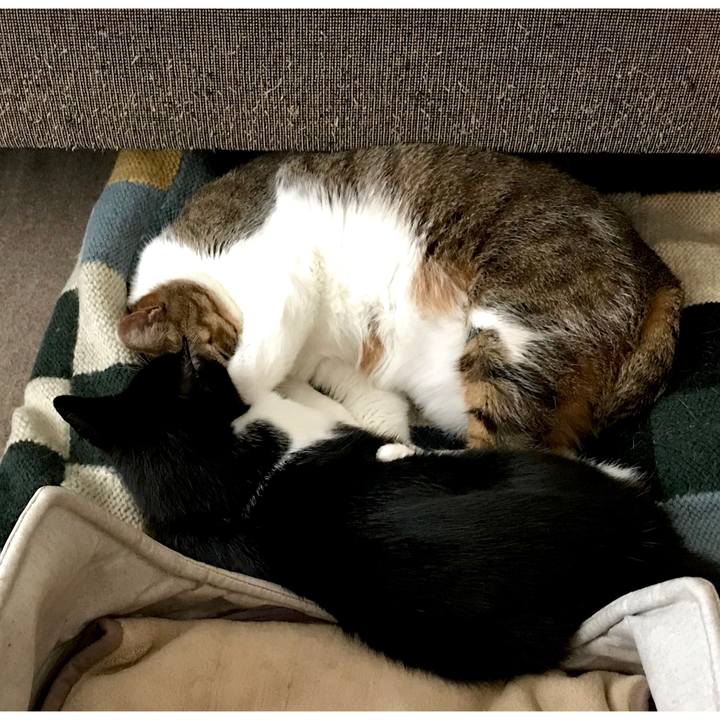 669a36d1 c203 412b ab70 e9175e6ce258 1550153699266