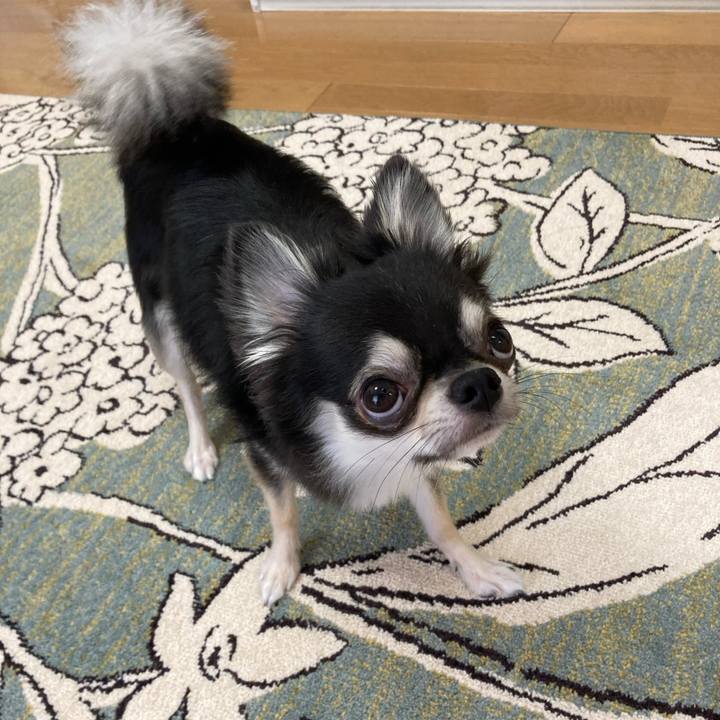 669a490b 7764 4092 844f 61167e929bfe 1628516969492