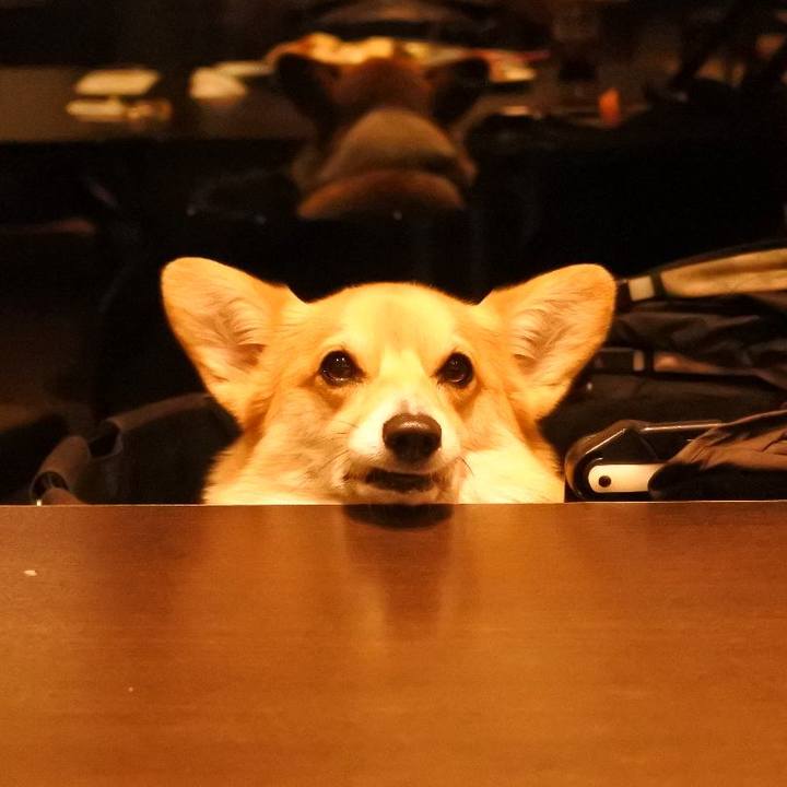 669a5027 9adc 4a01 acd3 4face824dcfa 1525429935447