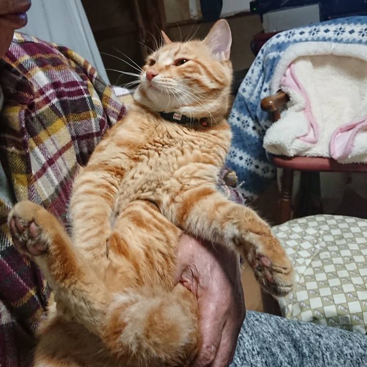 669a849b 1be4 4373 81d1 3b0d503b53ce 1647432725674