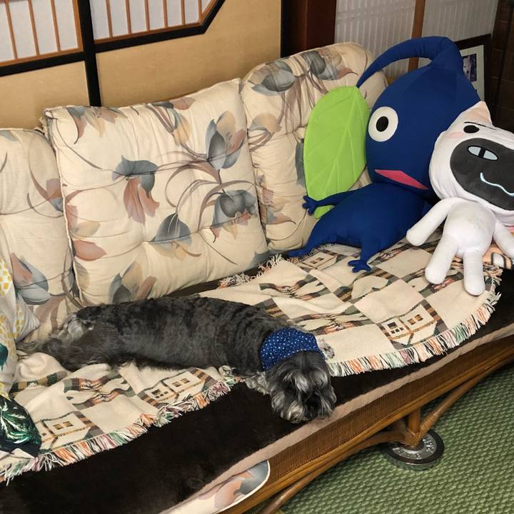 669aa84f ac7f 4fb0 b9b3 09c78d968c5a 1531693616905