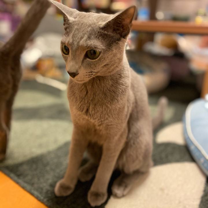 669aab9b a524 417e 8e05 0d6dc50f7cdb 1637369724114