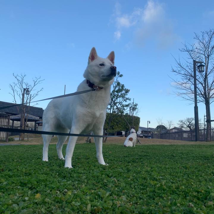 669abd83 a4fe 4eaa b03a 2ee4d9da78b7 1545617445121