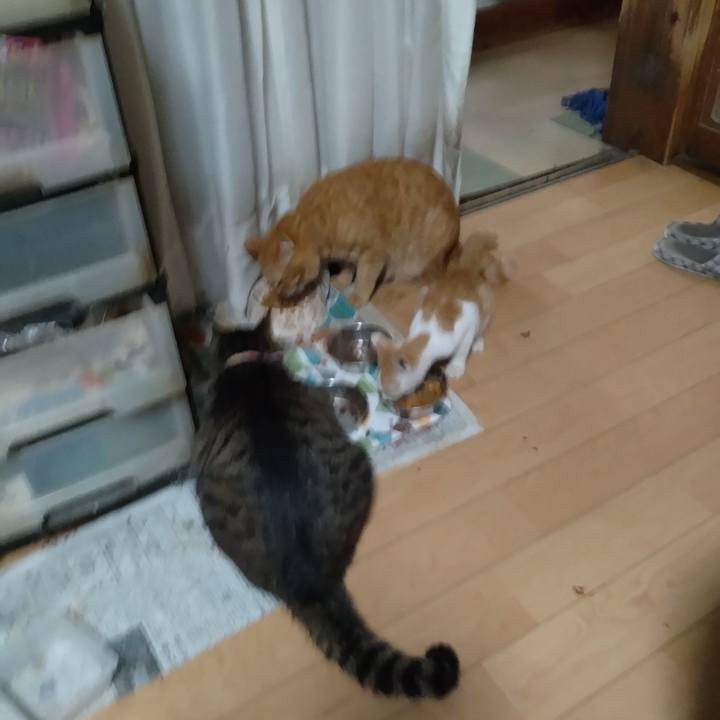 669ac503 d02d 43e8 9768 ac7ff1251244 1726179060862