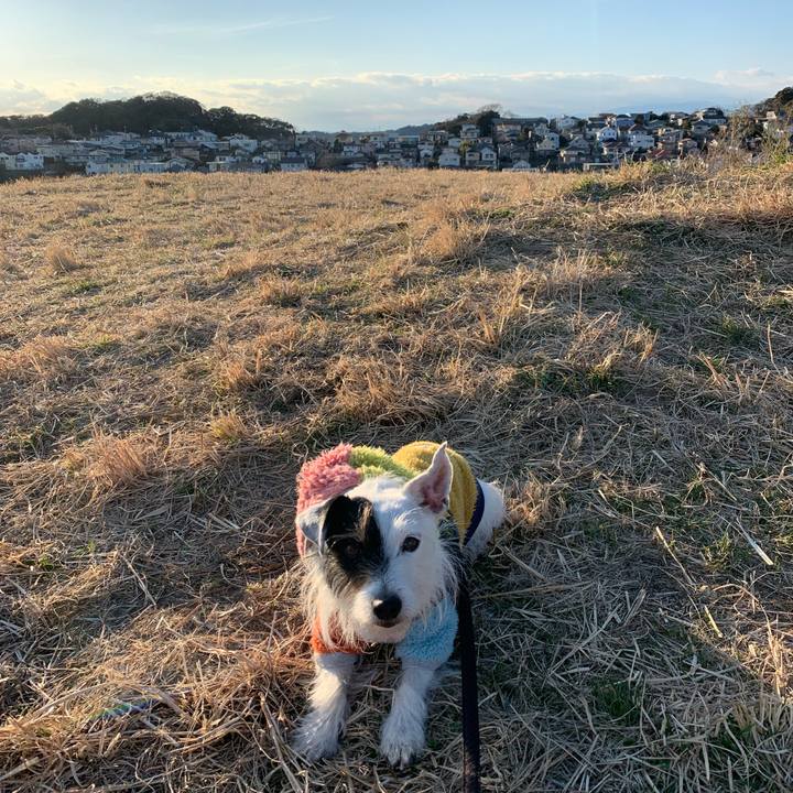 669ac66b e57a 4892 ab14 69e70a4600a7 1675586019909