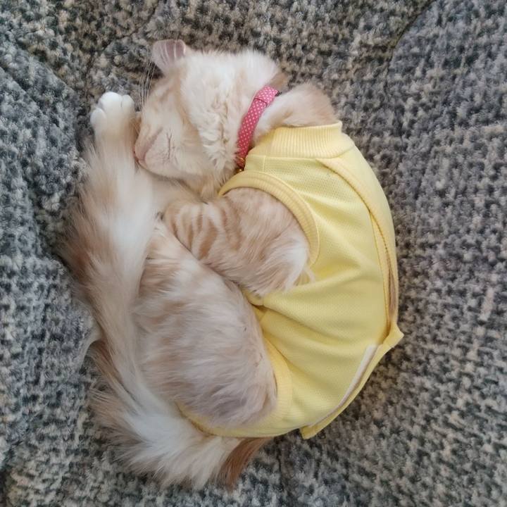 669acab0 f2bb 4708 85f8 5a09aa33fbfa 1614477264405