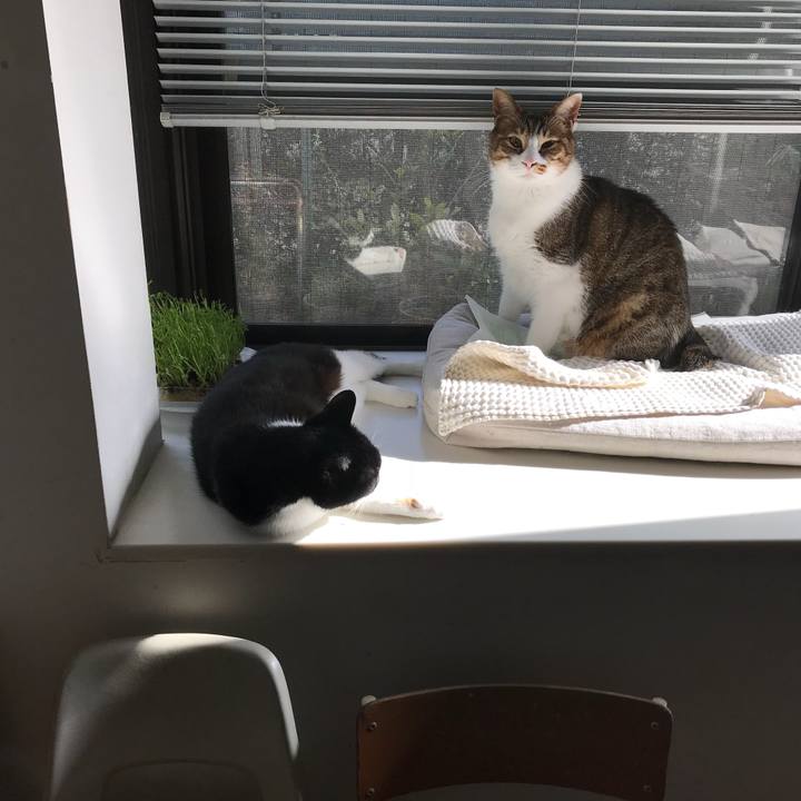 669af485 bce1 42e8 880e a9abee6616f0 1522307634219