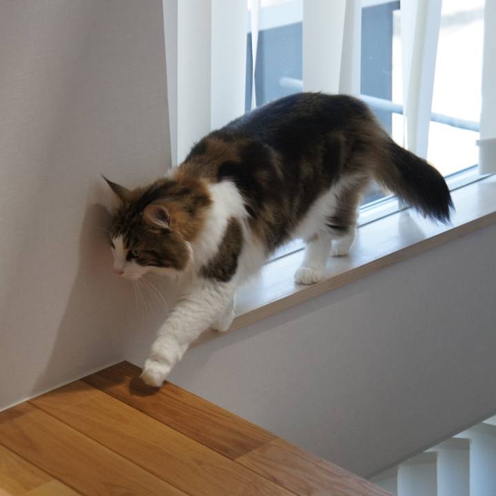 669b0a68 dd56 4530 9a4f a0c0d196f16b 1534492975768