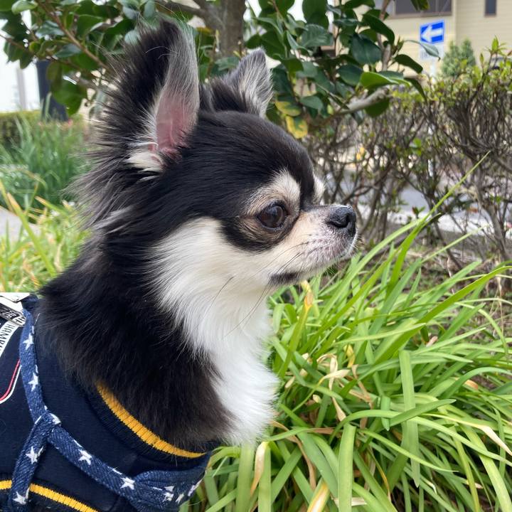 669b3297 01cf 4a1f a165 4223117da47e 1647154642192