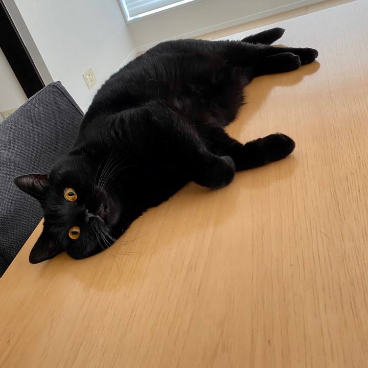 669b3a06 b999 47f6 b8c9 30322866eacf 1597710683934