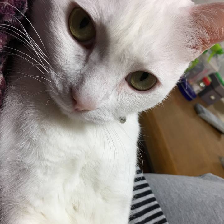 669b70c6 05cf 44e2 8687 9ea0fe2c0f2f 1519306561129