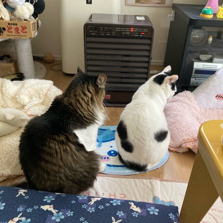 669b716d 1921 402f 9b28 58a306459a8b 1762905385891