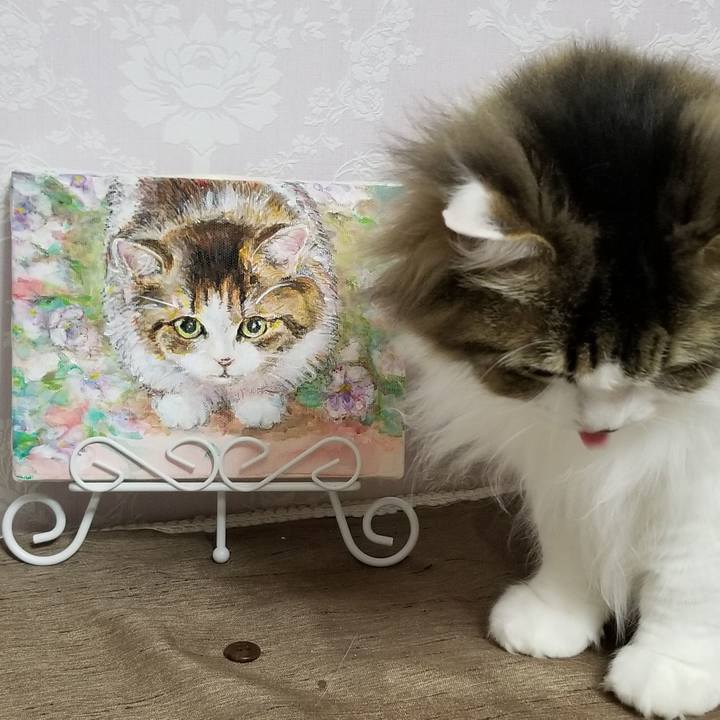 669bc166 817f 4895 9b49 44c383ff6e78 1585919455674