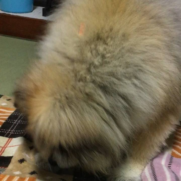 669c261c 2915 4636 baea 2b9ba8ab0911 1553069614118