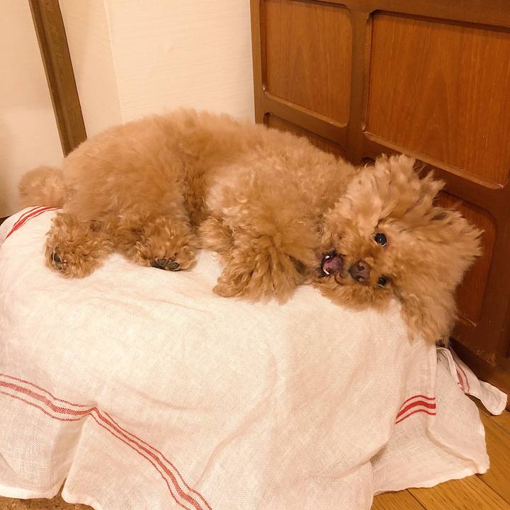 669c4ea7 d811 4989 9046 7cc86f0d3112 1565605640372