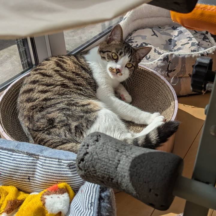 669c65a5 4a08 47e3 8cb1 57565c1d3829 1751003742326