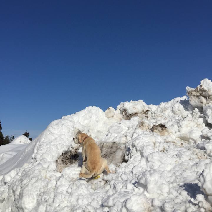 669ca588 11aa 4eb6 930d 50b78fedd97a 1579660508761