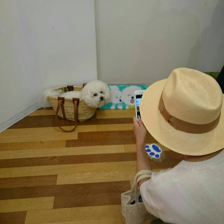 669cd7ee 7b32 4ef7 aa8a 27092309ff38 1525000244549