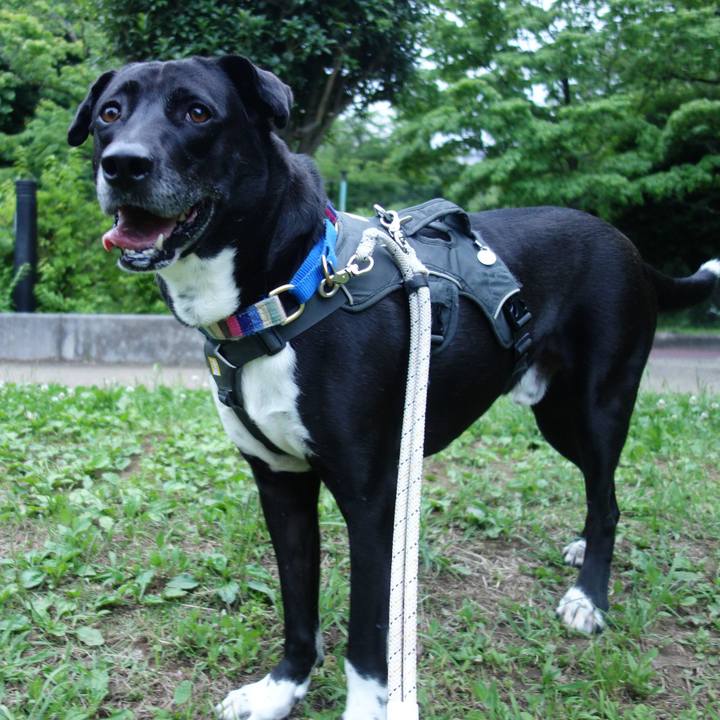 669d0451 0a2c 41bf 90c0 0d8ca57f45c0 1653907005192