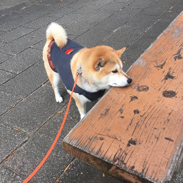 669d0be3 0539 439d 87f6 aab906cda138 1571626315847