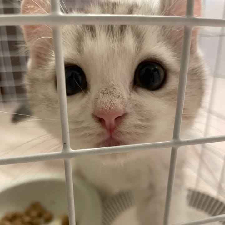 669d7fe8 abd9 4ad7 8130 1baea452dbfa 1776164806115