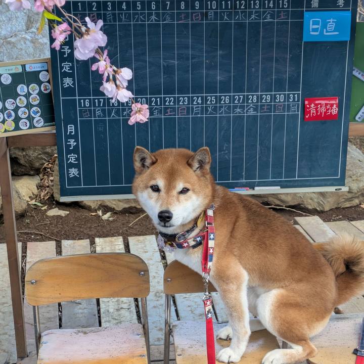 669dc7f4 6f13 4c17 88dc 49b3f78caeaa 1741588237237