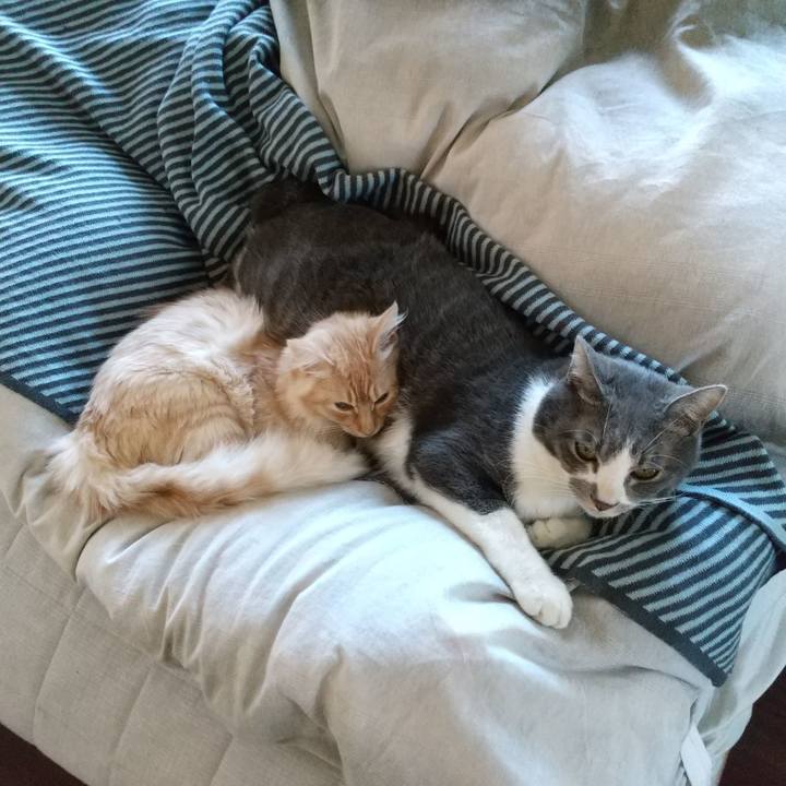 669dee54 8560 408c bbab 1a93ede72ece 1613792992749