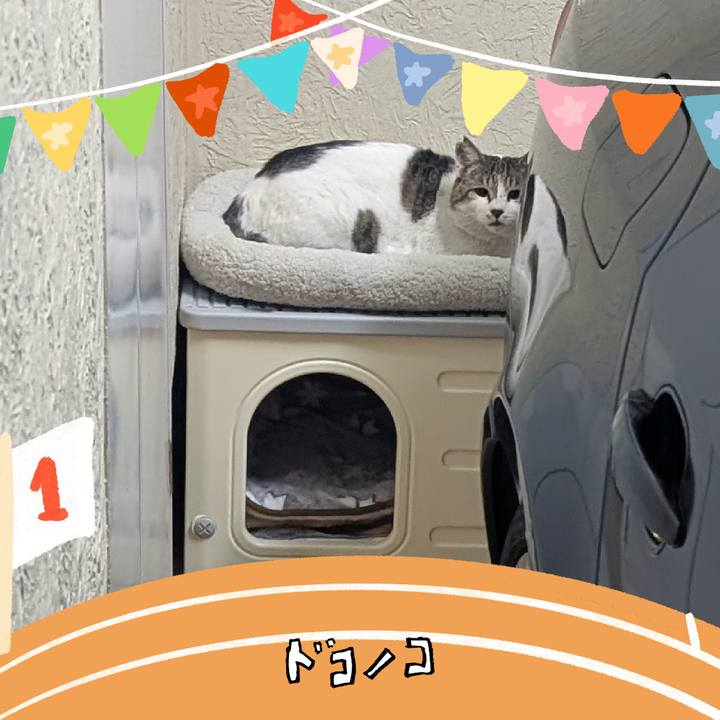 669e24f7 bad0 4484 8242 289625ae65e0 1762129608655