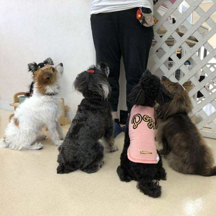 669e2e6b e6b5 48d5 8b2d 3ef41f2860e2 1597241220080