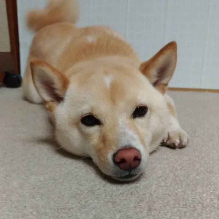 669e49ae 980f 44bb 86a9 56607e9a8b99 1527590599414