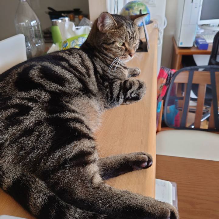 669e63f4 3c15 421d 8c1f f16d08e76d7b 1631931977247