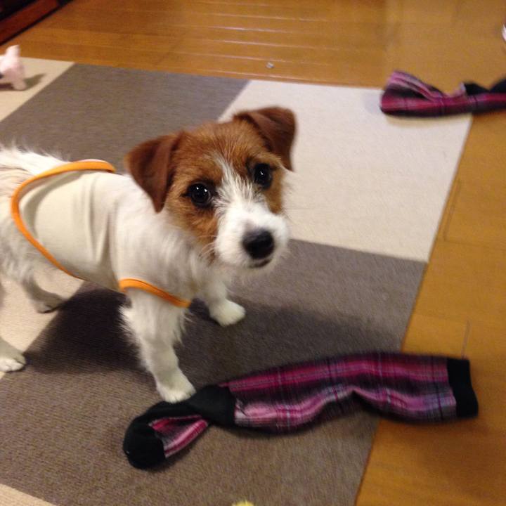 669e8e31 7e9e 4bae 881a e33ddb97009c 1512124459071