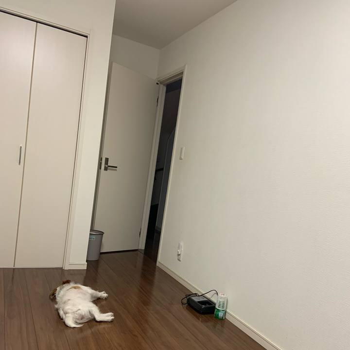 669e9405 1618 4685 bd44 0d9f5ba8e20c 1682081553287