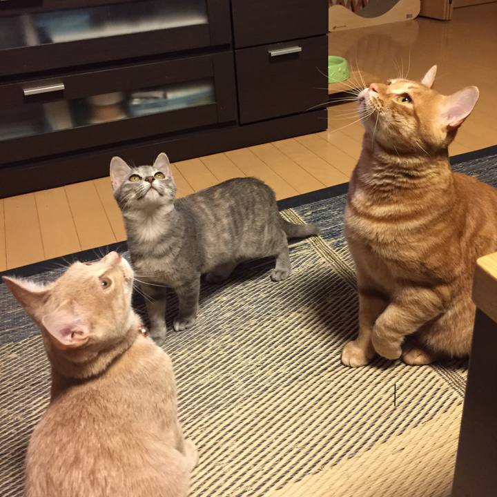 669ea32f 382a 4822 813c 7e31f88c31fe 1538835565882