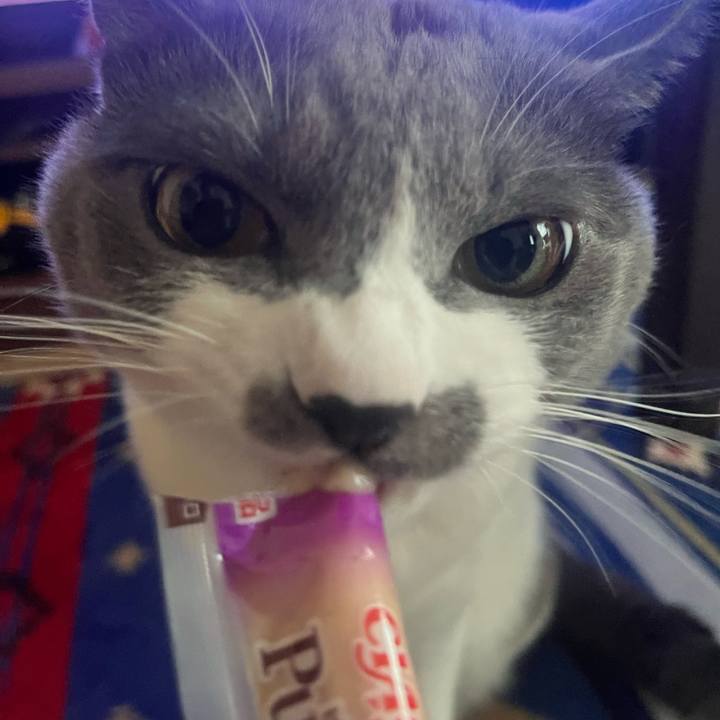 669ee017 cd94 4b55 82f7 4b8e184e0eee 1665384319598