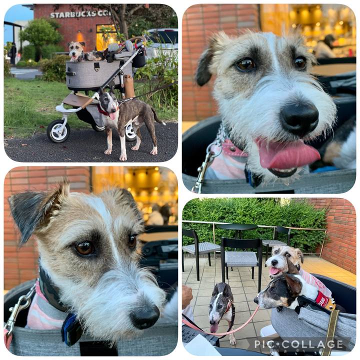 669ef31f d153 4093 b8a6 b81eb5db1a78 1626619948657