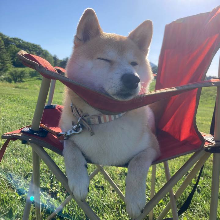 669f210e 422a 4b27 afd2 f22258f141c2 1716436238463