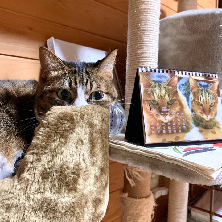 669f416f 10a5 4c44 b024 1597ff463eda 1577283435802