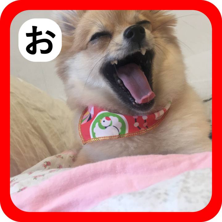 669f500a 62c3 4763 b4e3 3c0a16dc213b 1514782301039