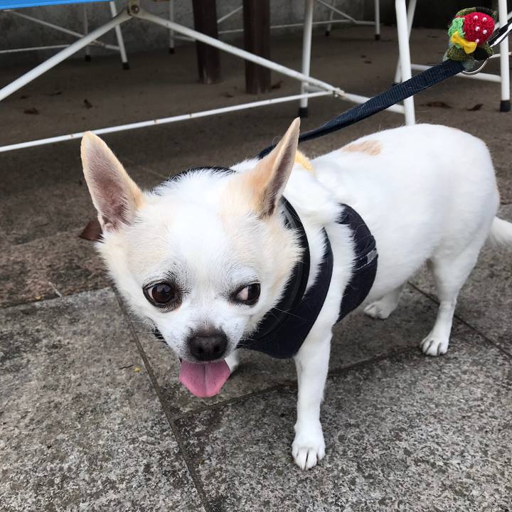 669f76df 4e2e 452e 97ba efc8ff671673 1557630067518