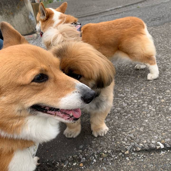 669f79d1 641c 4af8 ba65 7c963eaff087 1650940604806