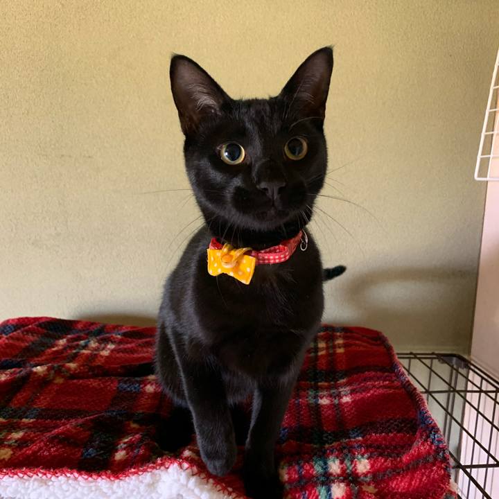 669f9624 4a53 42f7 918b fbdba75de64d 1586601490606