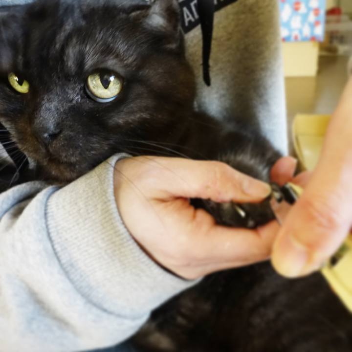 669fc487 6e66 410e 9f7c 049322b35313 1582528002961