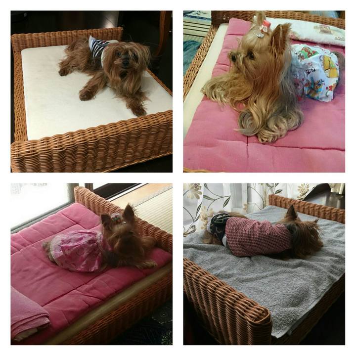 66a06f78 0f43 42c3 ad5d e4b1b96da77d 1539219209638