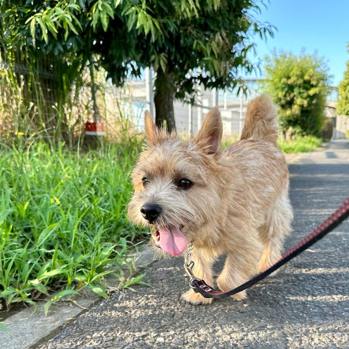 66a07b0a d7e7 41e9 b3ed 9941e9c0c692 1721536629800