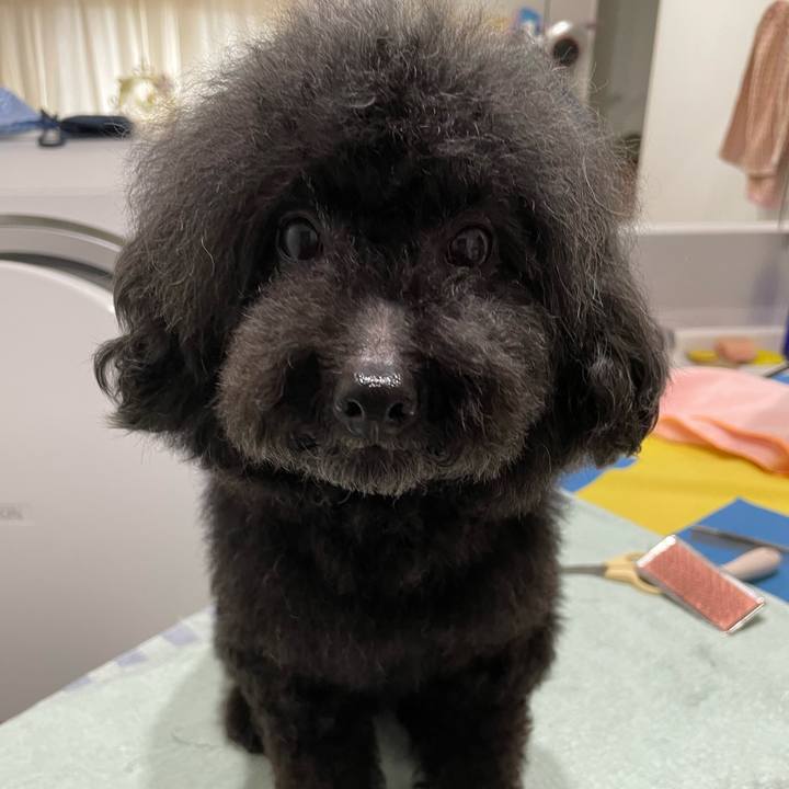 66a09d22 9a8f 4b17 87f7 b8798337f758 1617515711547