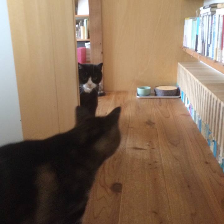 66a0a22a c97b 4e4e 91c2 098b69b0e0f0 1596240170749