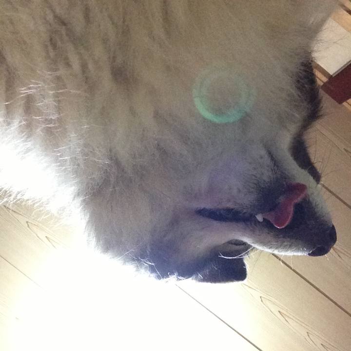 66a0c21d d3eb 48e9 946c 572326c0ccdb 1602698173988