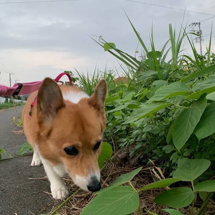 66a0cfb7 f62a 4cd9 b0b2 59b0794aff09 1726179579923